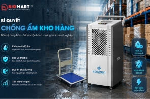 Bí quyết chống ẩm kho hàng và bảo quản hàng hóa hiệu quả