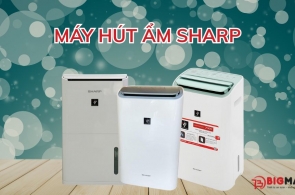 Máy hút ẩm Sharp có tốt không? Review 4 mẫu máy HOT nhất