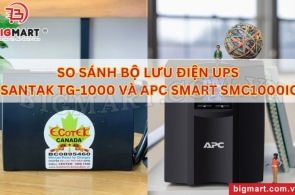 SO SÁNH BỘ LƯU ĐIỆN UPS SANTAK TG-1000 VÀ APC SMART SMC1000IC