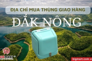 Chuyên Cung Cấp Thùng Chở Hàng Xe Máy Đắk Nông Uy Tín Giá Tốt
