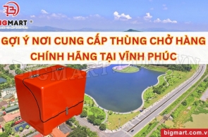 GỢI Ý NƠI CUNG CẤP THÙNG CHỞ HÀNG CHÍNH HÃNG TẠI VĨNH PHÚC