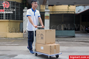 Top 5+ Dòng Xe Đẩy Hàng 4 Bánh Cho Cửa Hàng Tiện Lợi