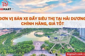 ĐƠN VỊ BÁN XE ĐẨY SIÊU THỊ TẠI HẢI DƯƠNG CHÍNH HÃNG, GIÁ TỐT