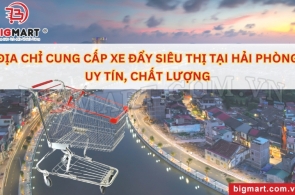 ĐỊA CHỈ CUNG CẤP XE ĐẨY SIÊU THỊ TẠI HẢI PHÒNG UY TÍN, CHẤT LƯỢNG